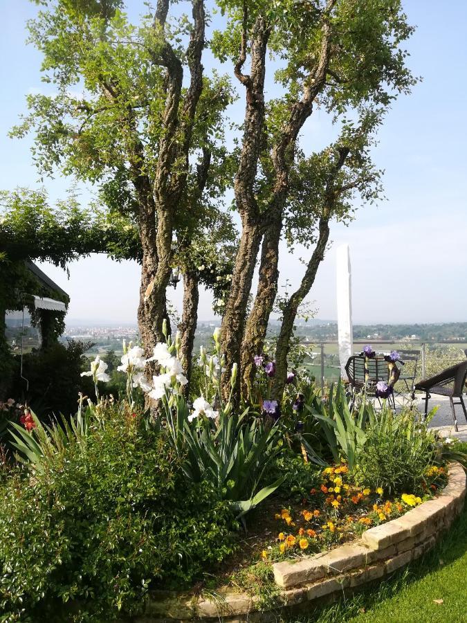 Ca Nostra B&B Home Restaurant Portacomaro Dış mekan fotoğraf